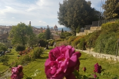 Florencja- Giardino delle rose