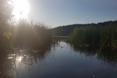 Jezioro Wronczyńskie Duże