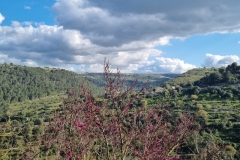 Ragusa Ibla Gardini Iblei