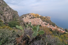 Teormina