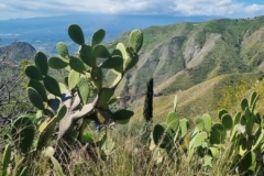 Treking na Monte Venera