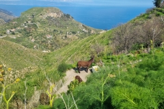 Treking na Monte Venera