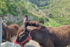 Treking na Monte Venera