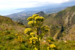 Treking na Monte Venera